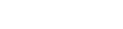 Sealeopard Engineering Logo